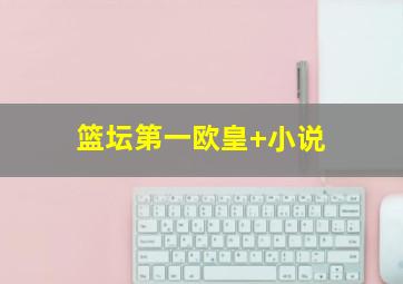 篮坛第一欧皇 小说